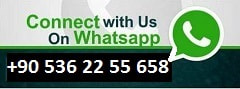 Easy Ephesus Tour booking by WhatsApp